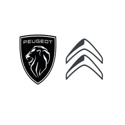 PEUGEOT CITROEN SAUVION