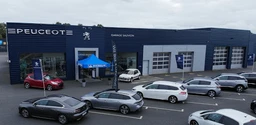 PEUGEOT CITROEN SAUVION