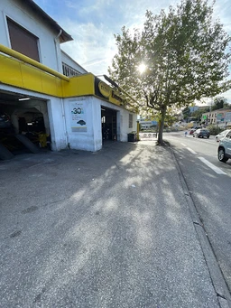 Midas GRASSE