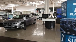 PEUGEOT Lens - SOFIDA Auto